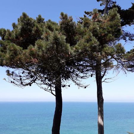 Granville Plage Plat Gousset Exterior foto