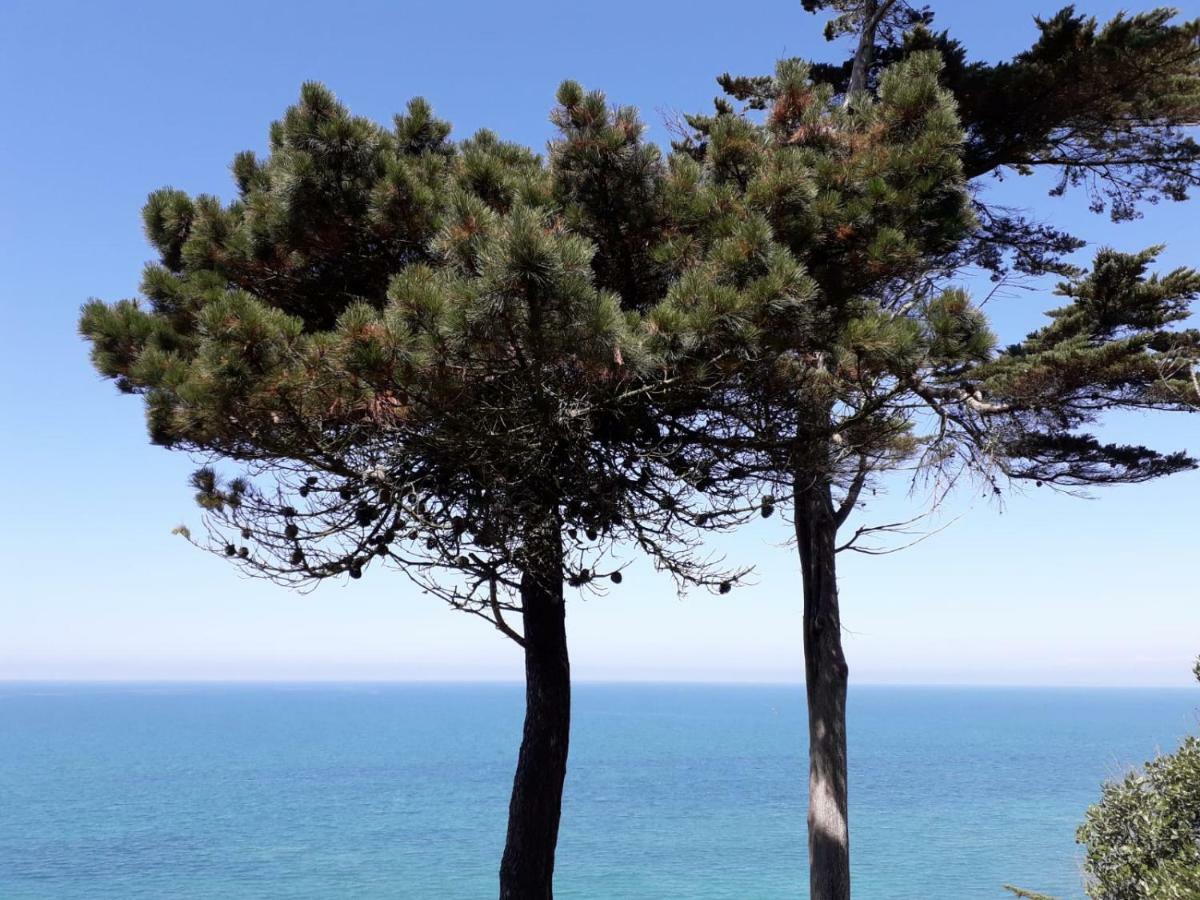 Granville Plage Plat Gousset Exterior foto